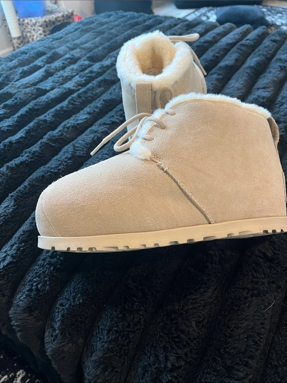 Platform Uggs